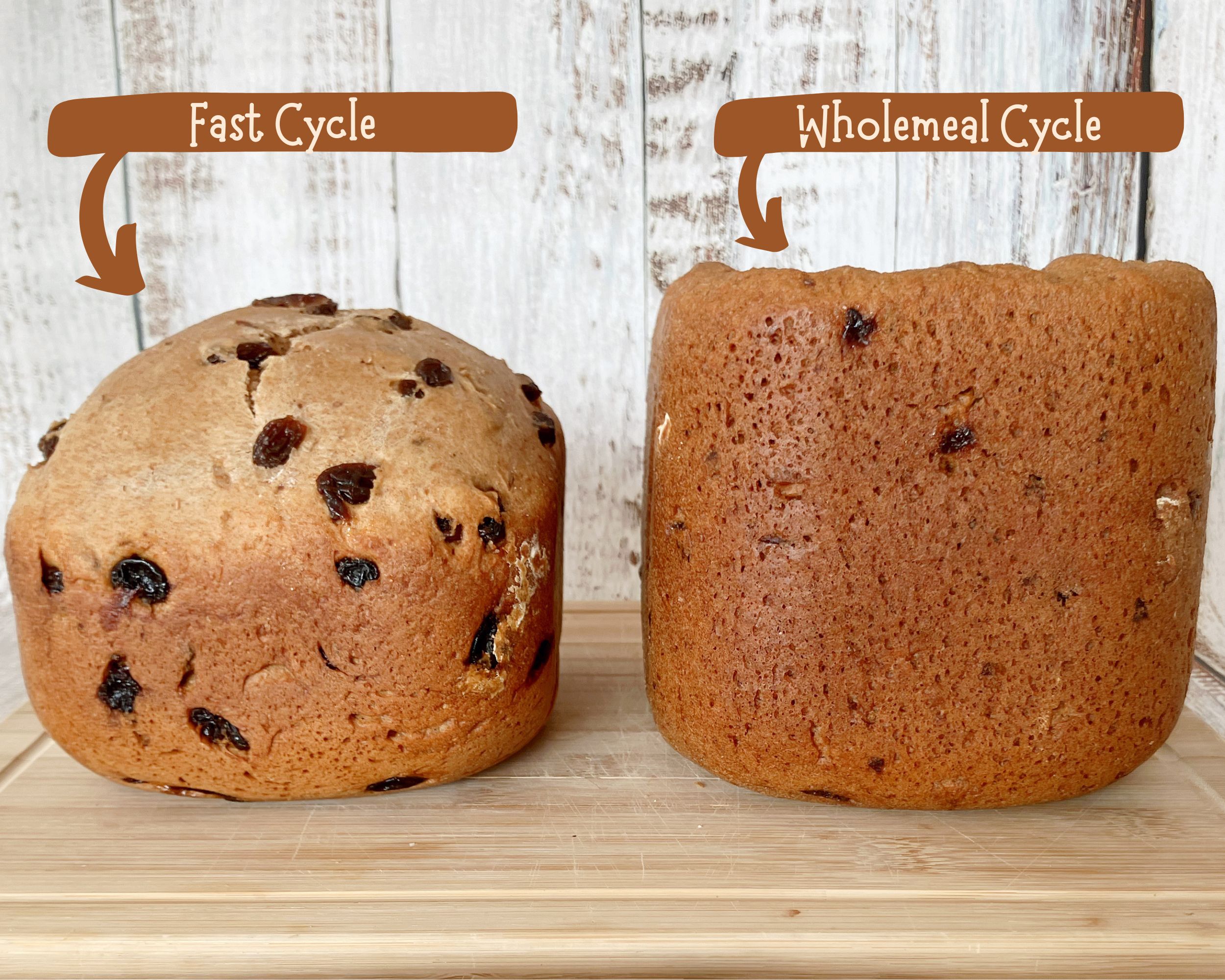 comparison of two loaves made with spelt flour